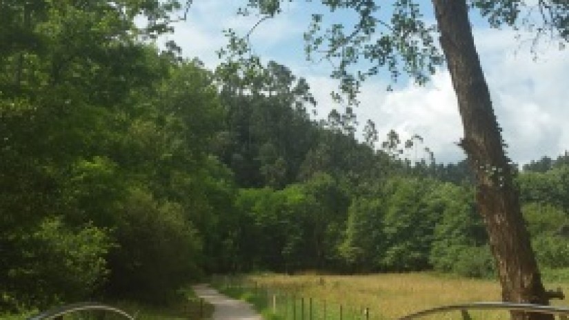 Muskizek Barbaduneko edertasuna erakusten du